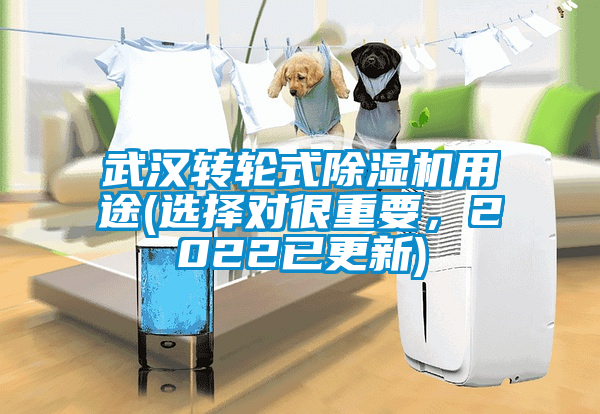 武漢轉(zhuǎn)輪式除濕機用途(選擇對很重要，2022已更新)