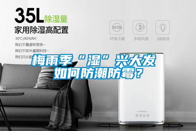梅雨季“濕”興大發(fā) 如何防潮防霉？