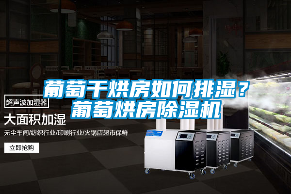 葡萄干烘房如何排濕？葡萄烘房除濕機(jī)