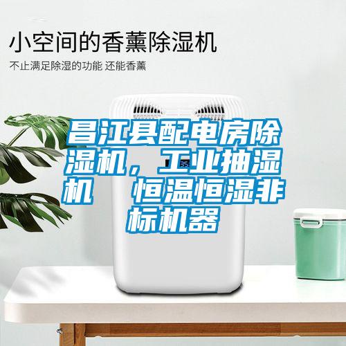昌江縣配電房除濕機(jī)，工業(yè)抽濕機(jī)  恒溫恒濕非標(biāo)機(jī)器