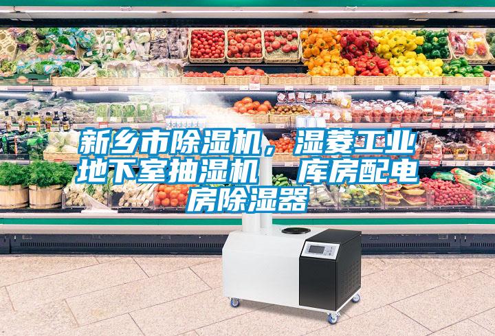 新鄉(xiāng)市除濕機(jī)，濕菱工業(yè)地下室抽濕機(jī)  庫房配電房除濕器