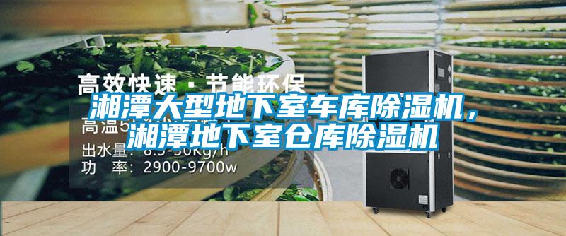 湘潭大型地下室車庫除濕機(jī)，湘潭地下室倉庫除濕機(jī)