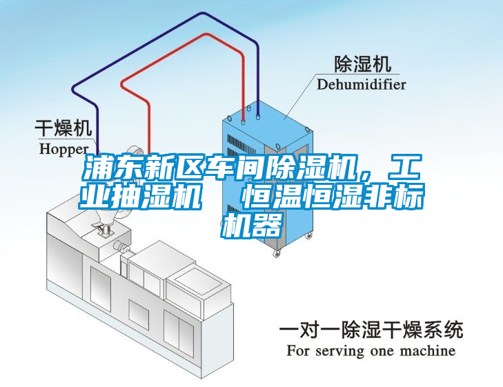浦東新區(qū)車間除濕機(jī)，工業(yè)抽濕機(jī)  恒溫恒濕非標(biāo)機(jī)器