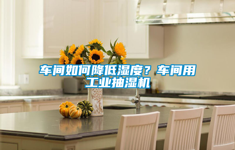 車間如何降低濕度？車間用工業(yè)抽濕機