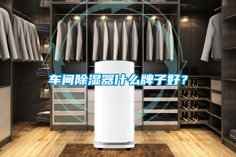 車間除濕器什么牌子好？