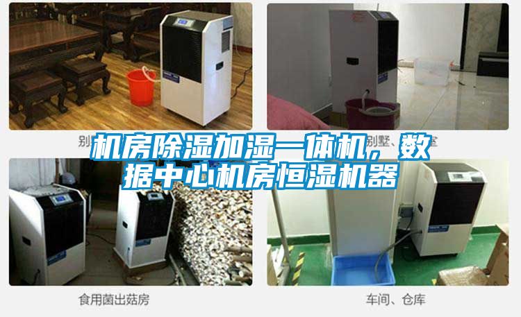 機房除濕加濕一體機，數(shù)據(jù)中心機房恒濕機器