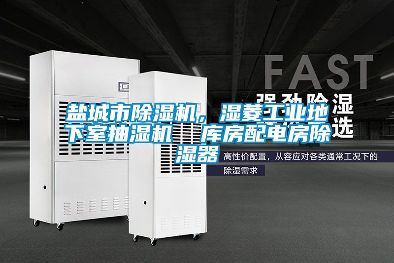 鹽城市除濕機(jī)，濕菱工業(yè)地下室抽濕機(jī)  庫(kù)房配電房除濕器