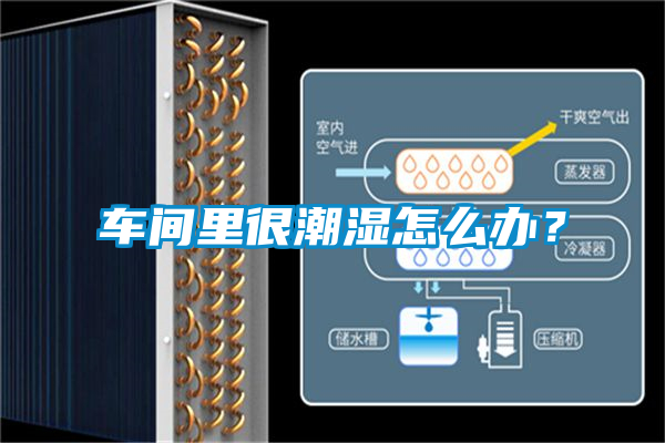 車間里很潮濕怎么辦？