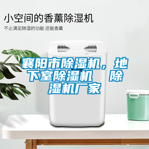 襄陽市除濕機(jī)，地下室除濕機(jī)  除濕機(jī)廠家
