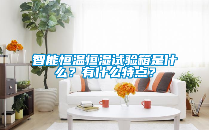智能恒溫恒濕試驗箱是什么？有什么特點？