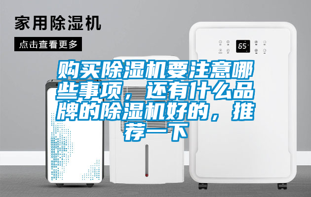 購(gòu)買除濕機(jī)要注意哪些事項(xiàng)，還有什么品牌的除濕機(jī)好的，推薦一下