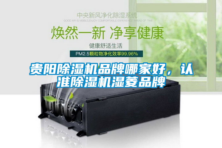 貴陽除濕機(jī)品牌哪家好，認(rèn)準(zhǔn)除濕機(jī)濕菱品牌