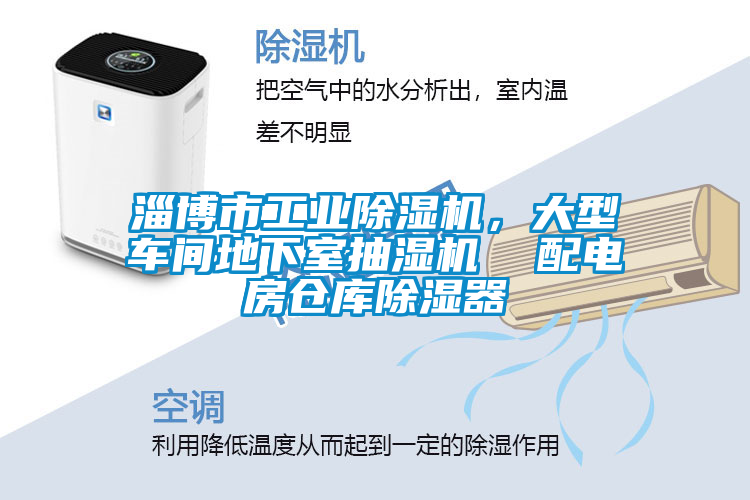 淄博市工業(yè)除濕機，大型車間地下室抽濕機  配電房倉庫除濕器