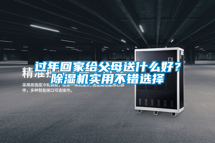 過(guò)年回家給父母送什么好？除濕機(jī)實(shí)用不錯(cuò)選擇