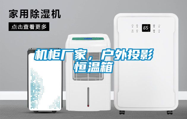 機(jī)柜廠家，戶外投影恒溫箱