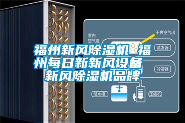 福州新風(fēng)除濕機 福州每日新新風(fēng)設(shè)備 新風(fēng)除濕機品牌