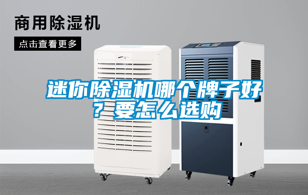 迷你除濕機哪個牌子好？要怎么選購