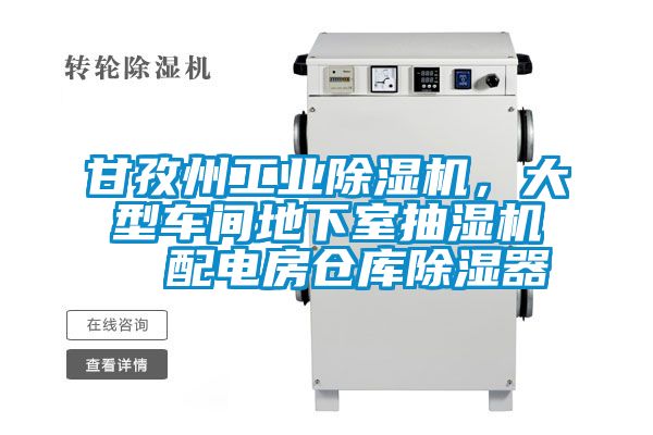 甘孜州工業(yè)除濕機，大型車間地下室抽濕機  配電房倉庫除濕器