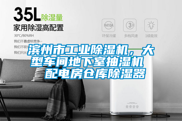 濱州市工業(yè)除濕機，大型車間地下室抽濕機  配電房倉庫除濕器