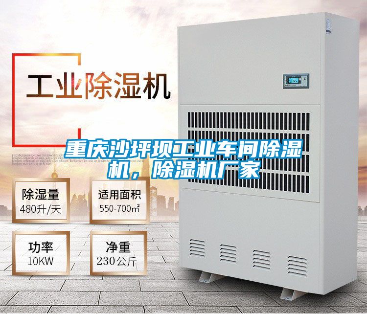 重慶沙坪壩工業(yè)車間除濕機(jī)，除濕機(jī)廠家