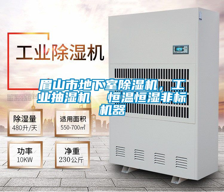 眉山市地下室除濕機(jī)，工業(yè)抽濕機(jī)  恒溫恒濕非標(biāo)機(jī)器