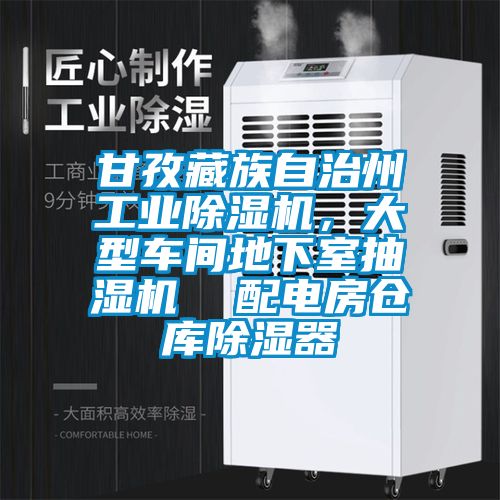 甘孜藏族自治州工業(yè)除濕機，大型車間地下室抽濕機  配電房倉庫除濕器