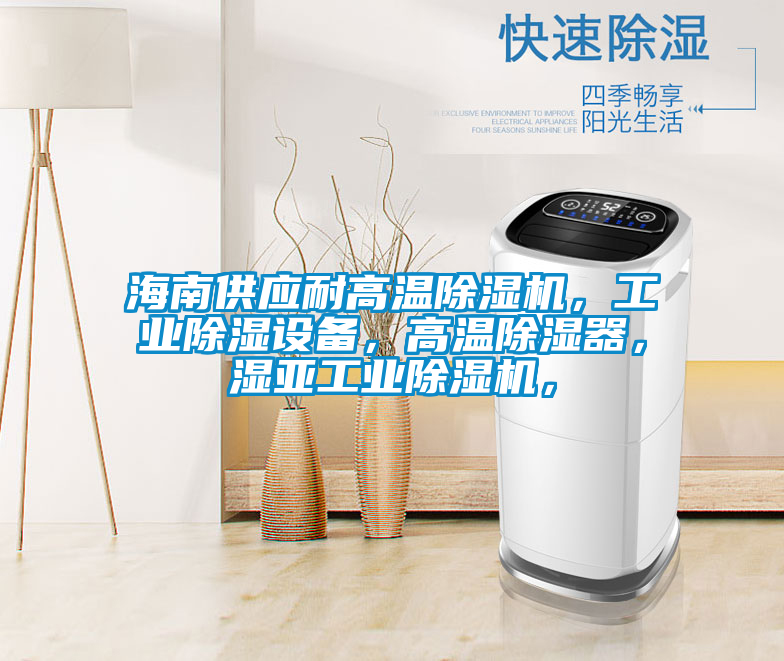 海南供應(yīng)耐高溫除濕機(jī)，工業(yè)除濕設(shè)備，高溫除濕器，濕亞工業(yè)除濕機(jī)，
