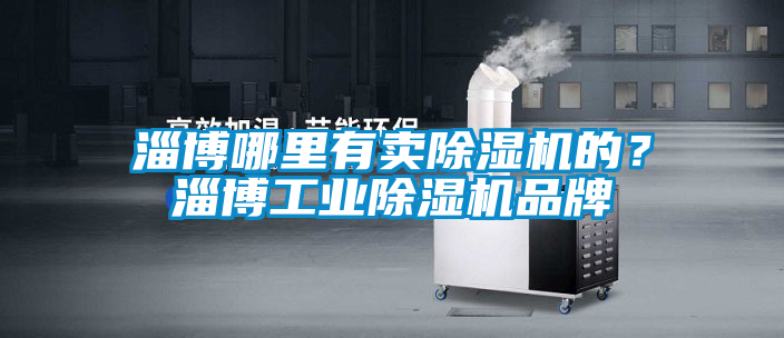 淄博哪里有賣除濕機的？淄博工業(yè)除濕機品牌
