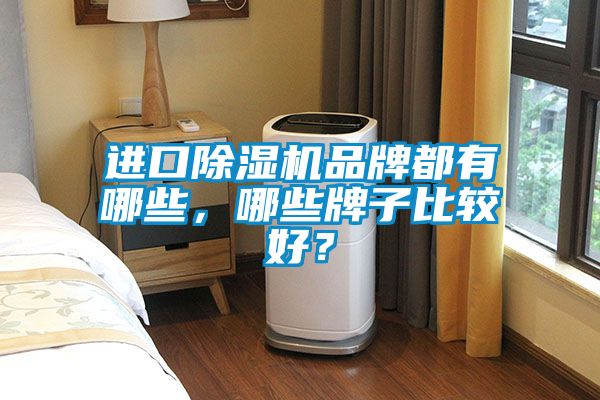 進(jìn)口除濕機(jī)品牌都有哪些，哪些牌子比較好？