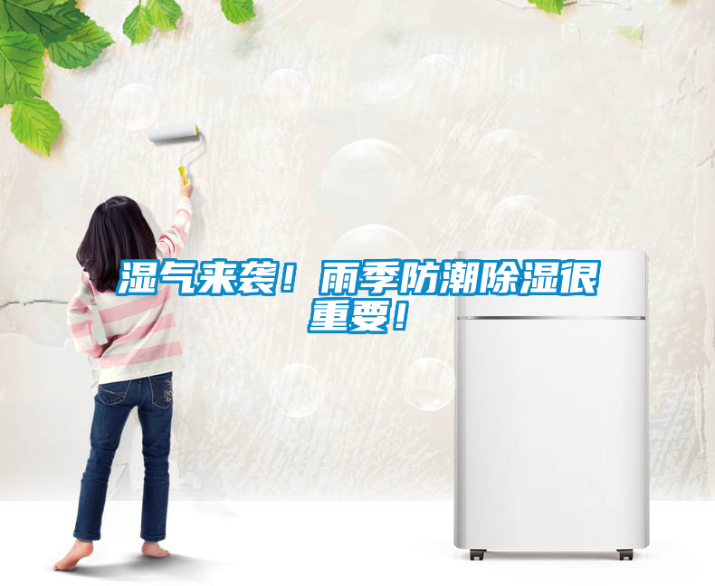 濕氣來襲！雨季防潮除濕很重要！