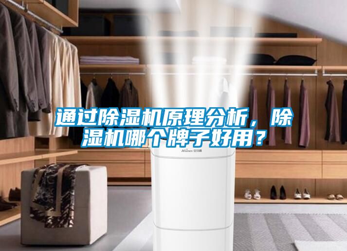 通過除濕機(jī)原理分析，除濕機(jī)哪個牌子好用？