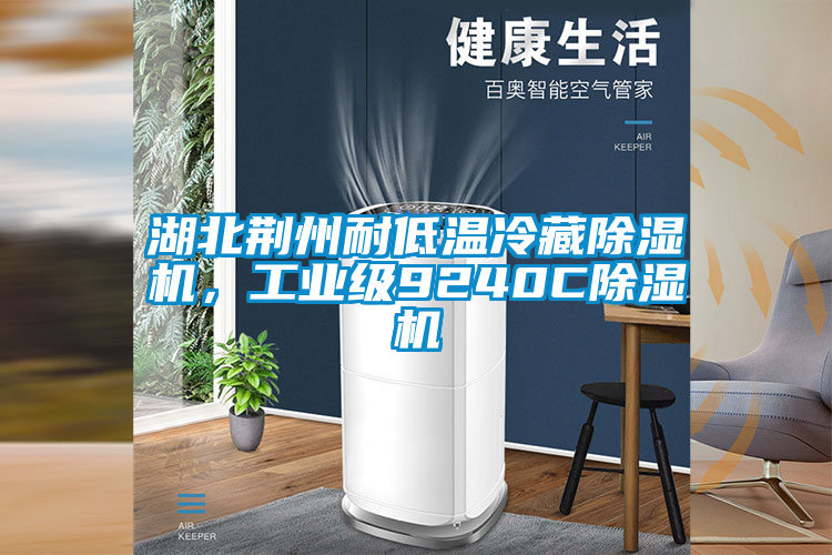 湖北荊州耐低溫冷藏除濕機，工業(yè)級9240C除濕機
