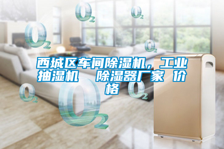 西城區(qū)車間除濕機(jī)，工業(yè)抽濕機(jī)  除濕器廠家 價(jià)格
