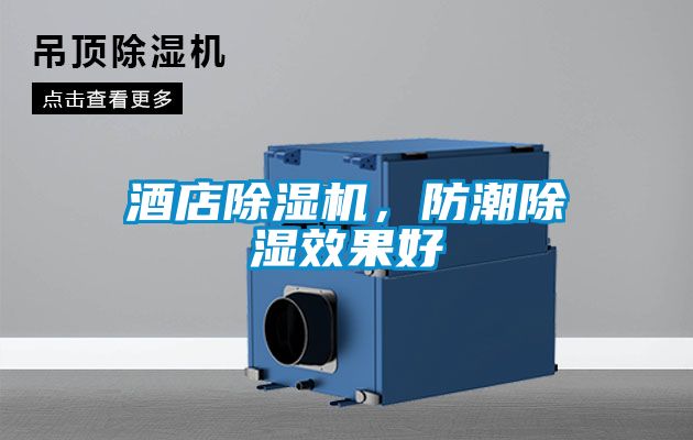 酒店除濕機(jī)，防潮除濕效果好