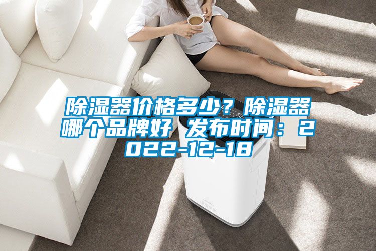 除濕器價(jià)格多少？除濕器哪個(gè)品牌好 發(fā)布時(shí)間：2022-12-18
