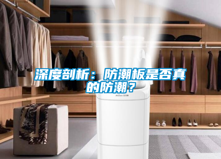 深度剖析：防潮板是否真的防潮？