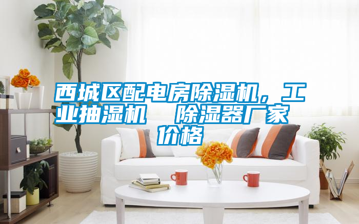 西城區(qū)配電房除濕機，工業(yè)抽濕機  除濕器廠家 價格