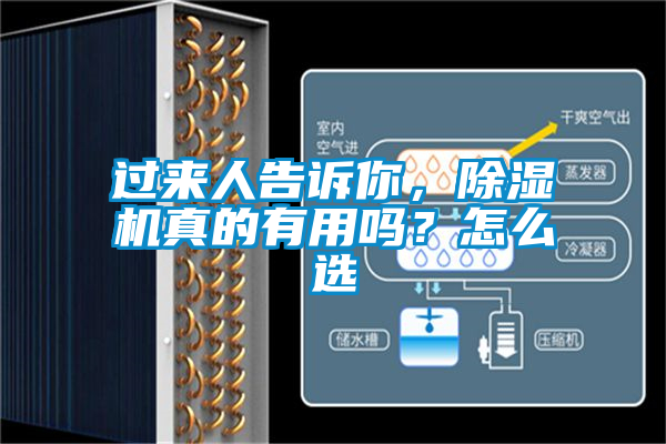 過(guò)來(lái)人告訴你，除濕機(jī)真的有用嗎？怎么選