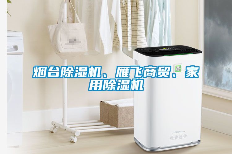 煙臺除濕機(jī)、雁飛商貿(mào)、家用除濕機(jī)