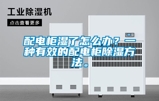 配電柜濕了怎么辦？一種有效的配電柜除濕方法。