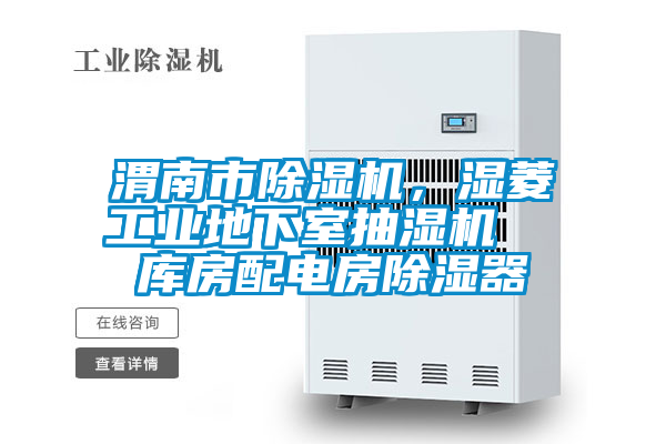 渭南市除濕機，濕菱工業(yè)地下室抽濕機  庫房配電房除濕器