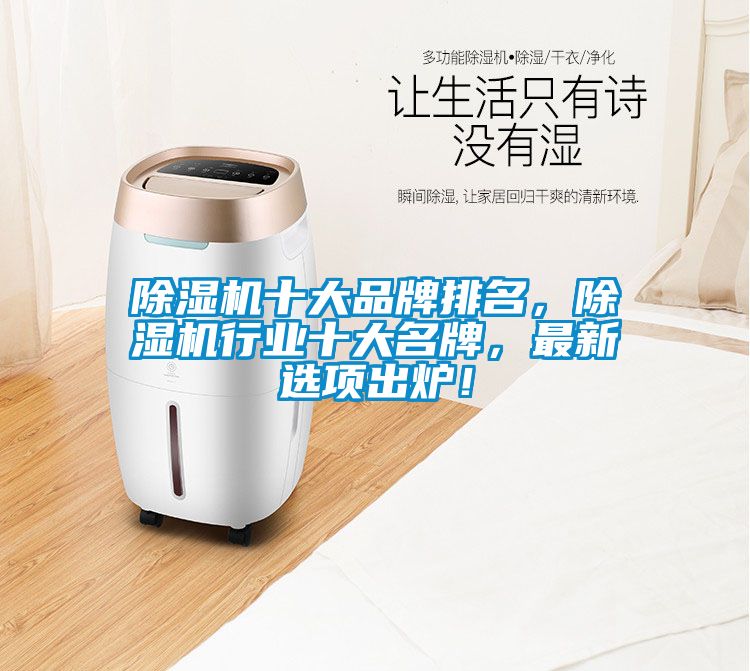 除濕機十大品牌排名，除濕機行業(yè)十大名牌，最新選項出爐！
