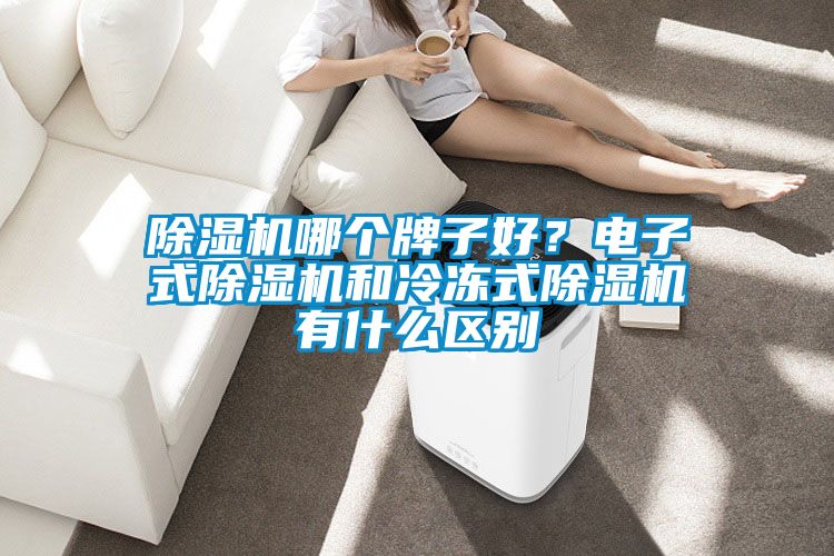 除濕機哪個牌子好？電子式除濕機和冷凍式除濕機有什么區(qū)別