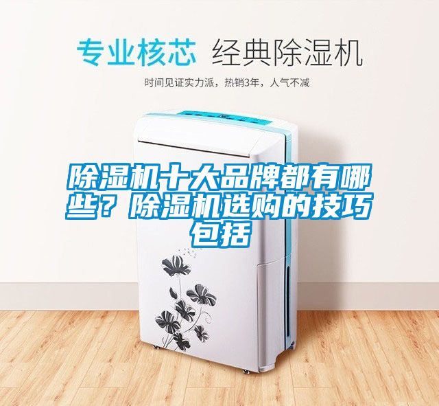 除濕機(jī)十大品牌都有哪些？除濕機(jī)選購的技巧包括