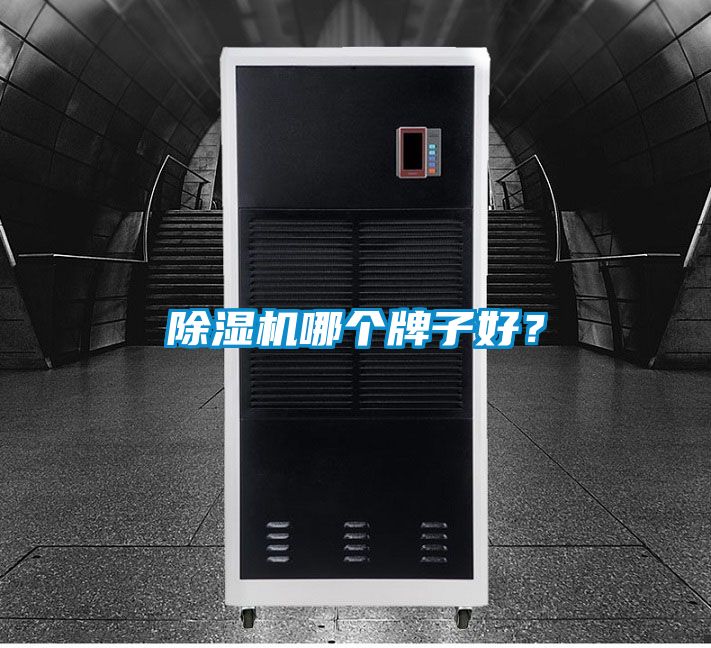 除濕機(jī)哪個(gè)牌子好？