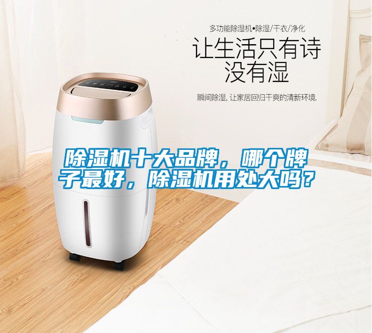 除濕機(jī)十大品牌，哪個(gè)牌子最好，除濕機(jī)用處大嗎？