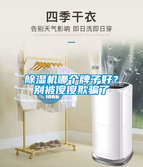 除濕機哪個牌子好？別被傻傻欺騙了