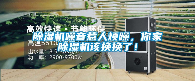 除濕機噪音惹人煩躁，你家除濕機該換換了！