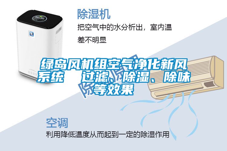 綠島風(fēng)機(jī)組空氣凈化新風(fēng)系統(tǒng)  過(guò)濾、除濕、除味等效果