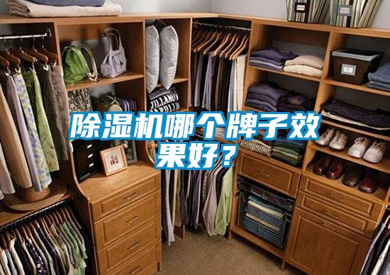 除濕機哪個牌子效果好？